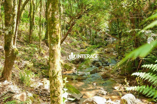 Imagem 20 de 25 de Terreno À Venda, 2335 M² Por R$ 472.900,00 - São Braz - Curitiba/pr - Te0350