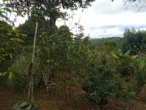 Imagem 4 de 7 de Chácara Com 2 Dormitórios À Venda, 600 M² Por R$ 200.000,00 - Parque Residencial Samambaia - Suzano/sp - Ch0015