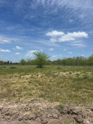 Hectareas - Terreno - Lote En Venta En Cañuelas