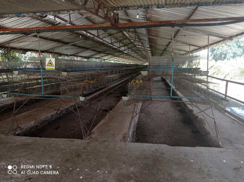 Imagen 5 de 17 de Finca De 12 Hectareas De Gallinas Ponedoras En Villa De Cura