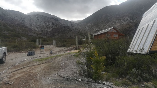 Lote Potrerillos