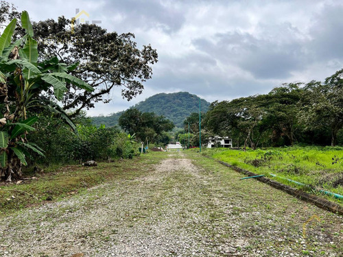 Terreno En Fraccionamiento Campestre Los Cafetales Xico Veracruz