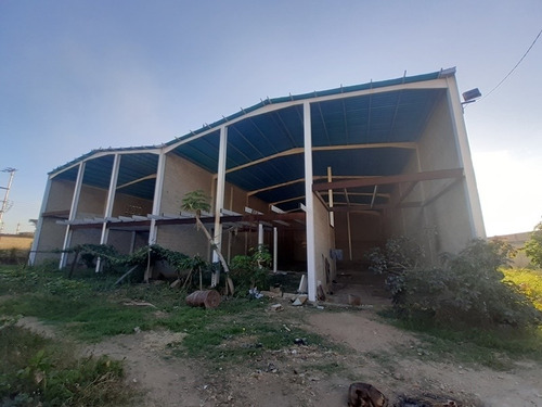 Imagen 1 de 12 de Galpon En Venta En Guacara Hilmar Rios C437337 0414-432-6946