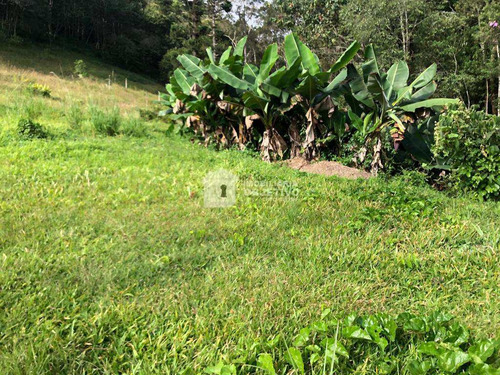 Chácara Com 1 Dorm, São Lourenço, São Lourenço Da Serra - R$ 375 Mil, Cod: 4157 - V4157