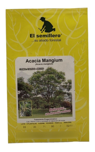 Semilla Acacia Mangium Sb X 1 Gramo 1 Gramo