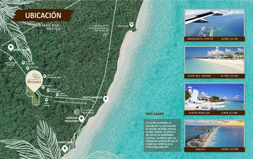 Imagen 3 de 14 de Invierte Terreno Cerca Aeropuerto Cancun | 10 Min Tren Maya