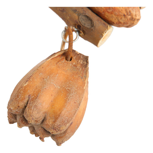 Juguete Para Morder En Jaula, Troncos Naturales, Frutos Seco