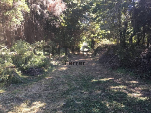 Imagen 1 de 15 de Lote En Venta - Bariloche - Zona Llao Llao - Id:15240