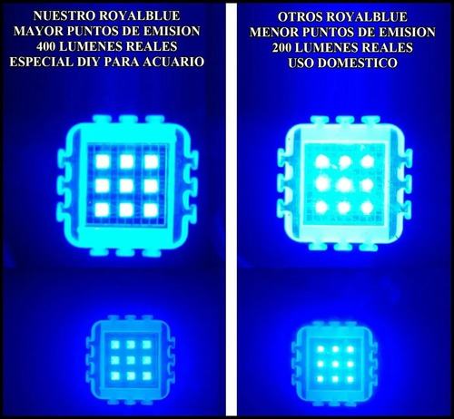 4 Led 10w Alta Potencia Acuario Royal Blue 450 455 Nm