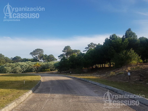 Imagen 15 de 20 de Terreno - Club Del Lago