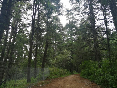 Imagen 5 de 5 de Terreno En Venta Terrenos Real Del Monte 30 Msi No Ejido