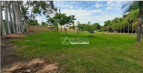 Imagem 15 de 20 de Chácara À Venda, 22000 M² Por R$ 4.000.000,00 - São Domingos - Paulínia/sp - Ch0028