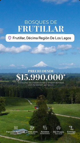 Parcelas A 15 Minutos De Frutillar 9 Millones De Descuento