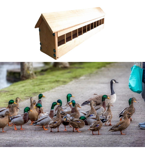Comedero Para Palomas, Comedero Para Pájaros Con Ranuras,