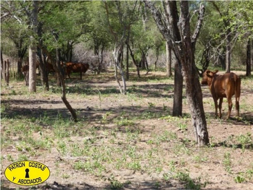 Imagen 2 de 13 de 0622hp-venta Campo Talavera Salta