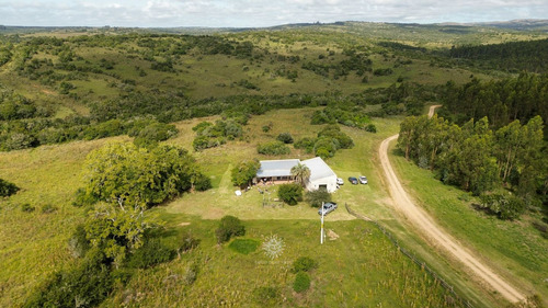 Chacra En Venta Maldonado, Gran Tapera Rec. 240m De Arroyo (ref: Bpv-10530)