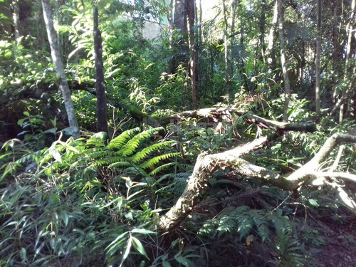 Imagem 1 de 4 de Terreno À Venda No Bairro Águas Claras - Brusque/sc - 1844