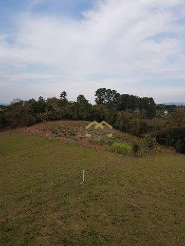Imagem 3 de 6 de Terreno À Venda, 5200 M² Por R$ 392.200,00 - Guacuri - Itupeva/sp - Te0036