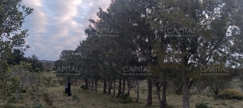 Campo Ganadero Forestal