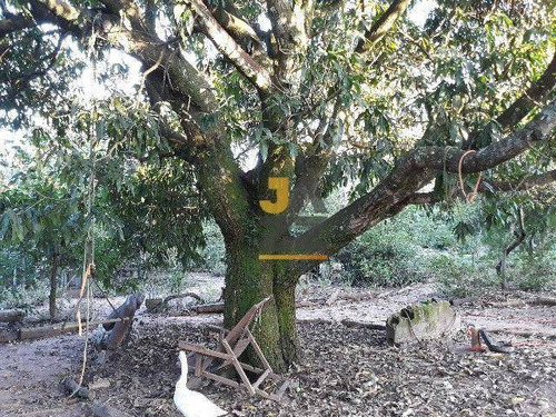 Imagem 17 de 30 de Chácara Encantada Em São Pedro - Ch0766