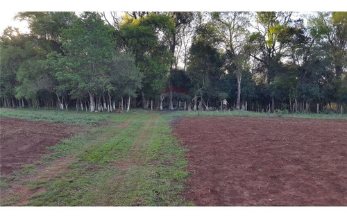 Imagen 2 de 14 de Vendo Casa Quinta En Carmen Del Paraná: 12 Hectáreas Y Media