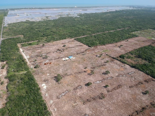 Imagen 11 de 21 de Terreno En Venta En Yucatan A 6 Minutos De La Playa Sn Crisa