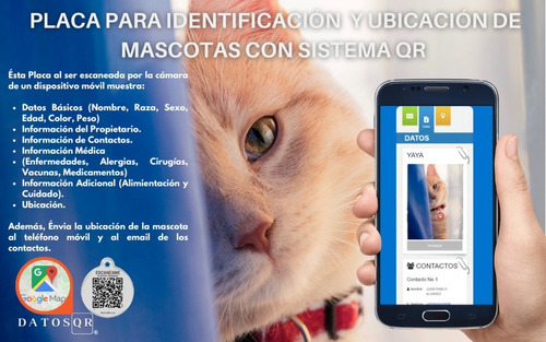 Placa Para Gato Con Sistema De Identificación Y Ubicación Qr