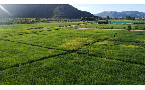 Parcelas Agroresidenciales Exclusivas En Curico Sector Rauco