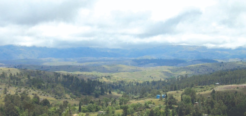 Imagen 5 de 8 de Venta De 3 Has 8000 M2 En Intiyaco - Tlc0049