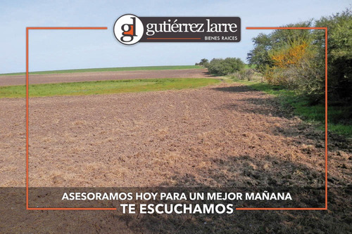 Campo 28 Ha Panorámicas Con Buenas Aguadas Naturales