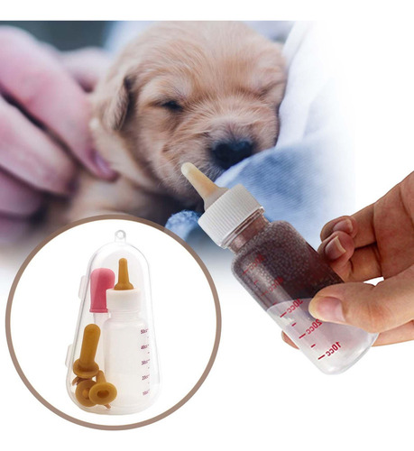 Generic, Portátil Recién Nacido Mascota Perro Gato