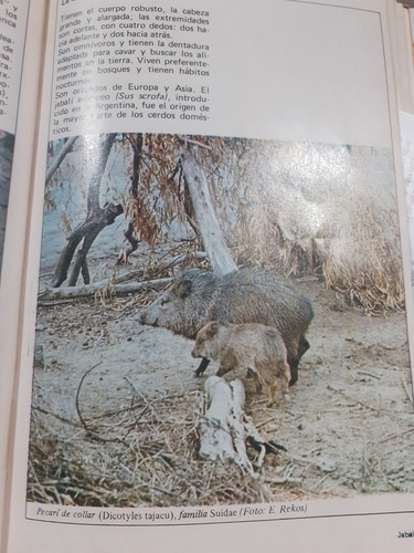 Animales Exóticos Fauna Argentina (Usado)