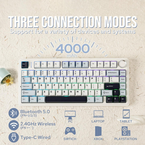 Teclado Mecánico Epomaker Aula F75 75% Inalámbrico Rgb