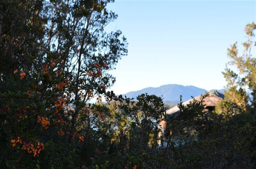 Agrícola En Venta En Hualaihue