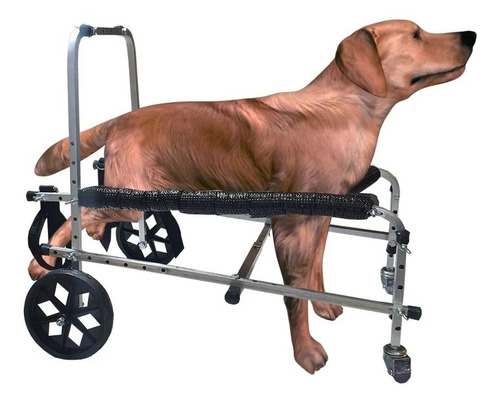 Andador Para Mascotas Discapacitadas De 8 A 15kg.