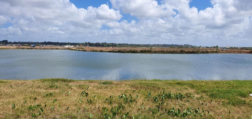 Imagen 5 de 30 de Lote En Amarras