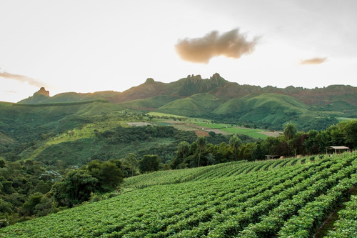 Imagem 2 de 5 de H9 Lotes Para Você Próximo A Piracaia