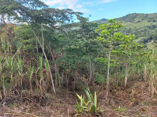 Venta De Lote En Villeta, Vereda Cune