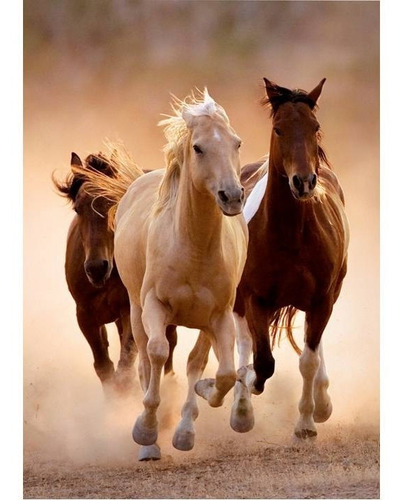 Rompecabezas Manada De Caballos Galopando 1000 Pz Clementoni
