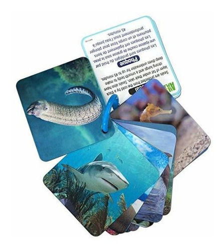 Animal Planet 3d Tarjetas Flash  Animales Marinos