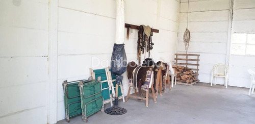 Imagen 10 de 30 de Terreno Campo En Venta O Permuta Ubicado En Baradero, Resto De La Provincia, Buenos Aires