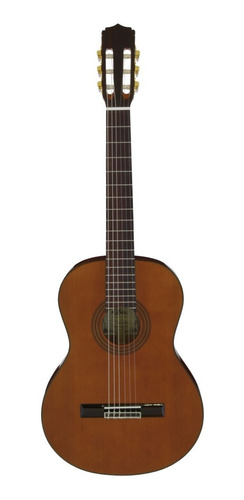 Guitarra Acustica Clasica Nylon Aria A-20 Cedro Rojo