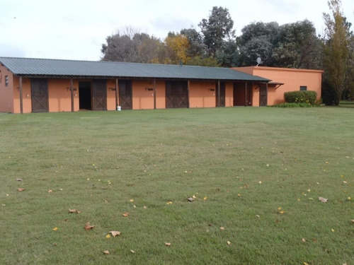 Imagen 7 de 16 de Campo En Alquiler En San Antonio De Areco