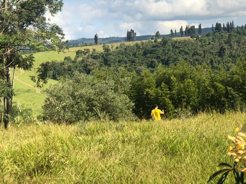 Imagem 1 de 1 de Lançamento, Terreno A Partir De 1000m2