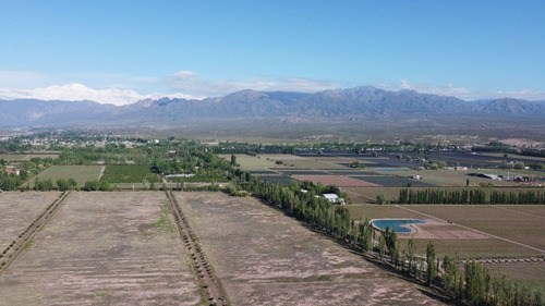 Venta Lotes Barrio Verona Vistalba Lujan De Cuyo