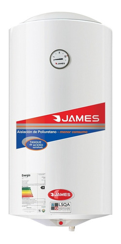 Calefon Termotanque James 110 Lts Poliuretano Inyectado