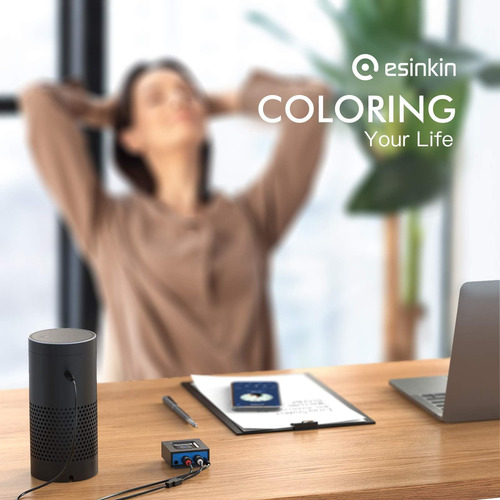 Esinkin Receptor De Audio Inalámbrico Para Sistema De Sonido