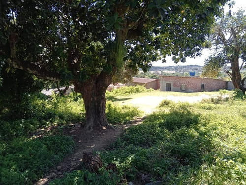 Imagem 9 de 9 de Vende Terreno Santa Monica Camaragibe - Te0204