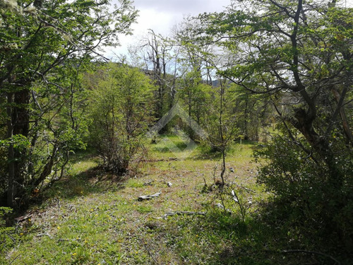Sitio En Venta En Chile Chico