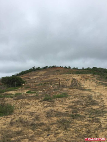 Imagen 2 de 4 de Terrenos En Venta